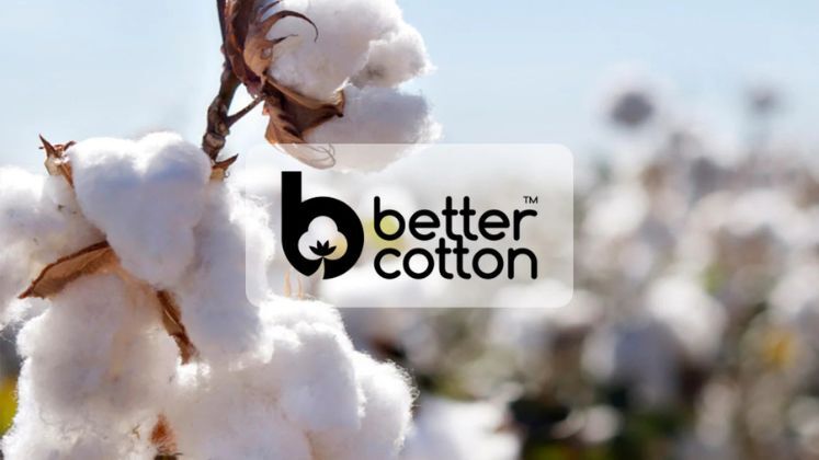 Better Cotton urges for higher finance support to farmers amid rising climate risk | Textile Industry News