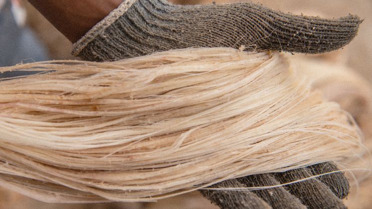 India’s trek through lesser-known eco-fibre terrain