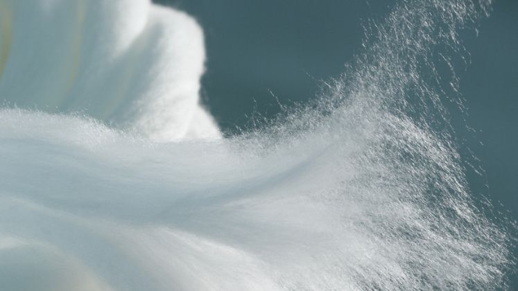 Lenzing Nonwovens expands LENZING™ Lyocell Dry fibre portfolio | Nonwoven Textiles